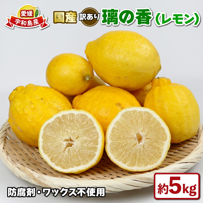 レモン 国産 訳あり 璃の香 5kg つばさ農園 防腐剤 ・ ワックス 不使用 国産レモン 国産檸檬 先行予約 れもん 檸檬 remon 果汁 酸味 高級 果物 ビタミン 健康 さっぱり フルーツ 柑橘 みかん mikan 農家直送 産地直送 数量限定 愛媛 宇和島 B010-048014