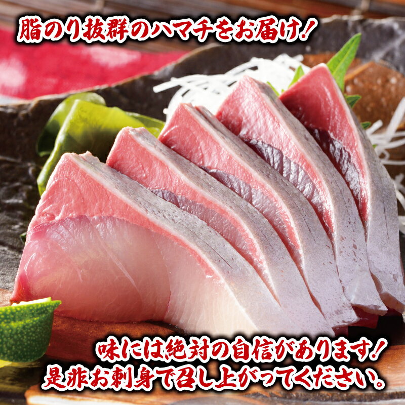 【ふるさと納税】 ハマチ セット 計 1kg 愛媛県漁業協同組合遊子支所 遊子 出世魚 ブリ 鰤 皮なし 皮付き ハマチカマ ブロック 加工 真空パック 小分け 流水解凍 刺身 お刺身 刺し身 お刺し身 しゃぶしゃぶ 塩焼き 煮付け 急速冷凍 国産 愛媛 宇和島 D012-022005 サムネイル3