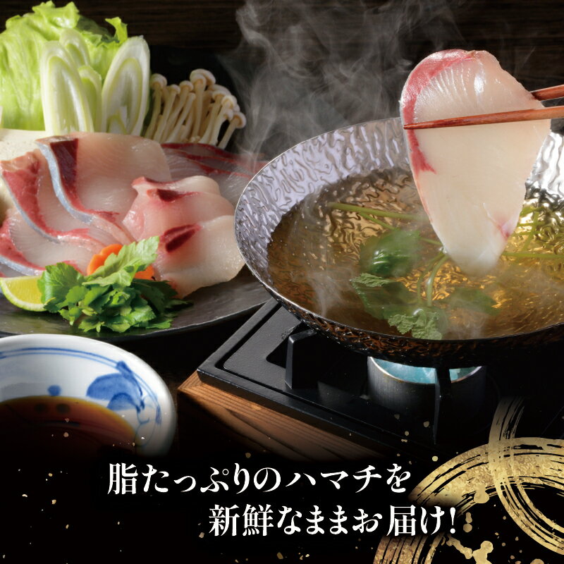 【ふるさと納税】 ハマチ セット 計 1kg 愛媛県漁業協同組合遊子支所 遊子 出世魚 ブリ 鰤 皮なし 皮付き ハマチカマ ブロック 加工 真空パック 小分け 流水解凍 刺身 お刺身 刺し身 お刺し身 しゃぶしゃぶ 塩焼き 煮付け 急速冷凍 国産 愛媛 宇和島 D012-022005 サムネイル2