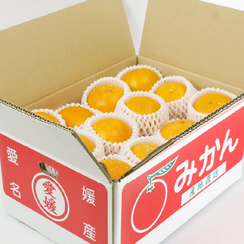 【ふるさと納税】 柑橘 蜜柑 愛果28号 4.5kg 家庭用 屋根かけ サイズ ミックス 陽だまりミカン 高級 ブランド オリジナル 限定 品種 甘い ゼリー 果物 くだもの フルーツ 愛媛みかん 愛媛蜜柑 みかん mikan あいか 農家直送 産地直送 数量限定 国産 愛媛 宇和島 B018-050004 サムネイル2