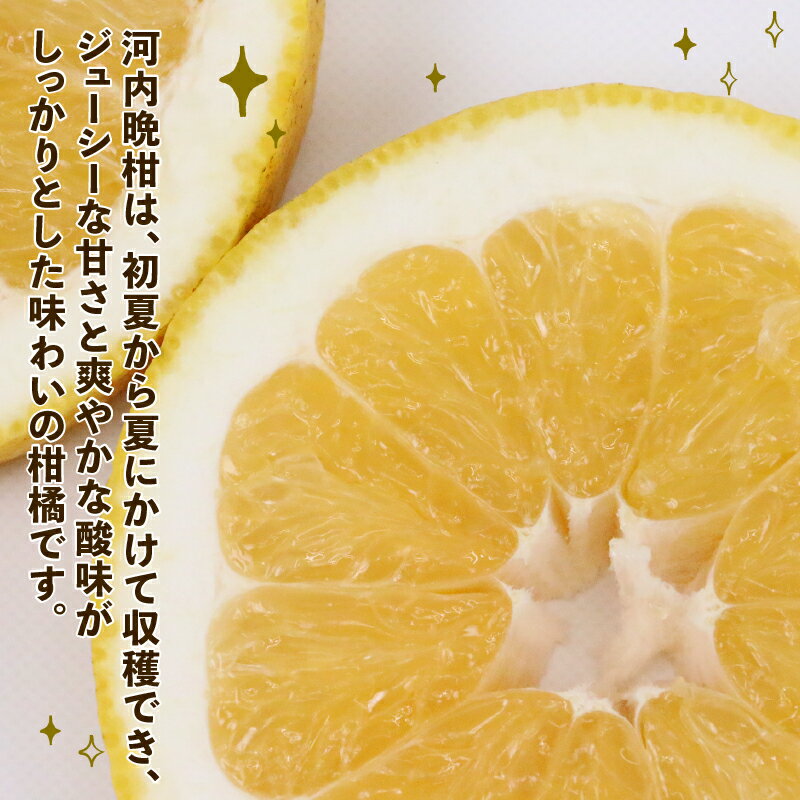 【ふるさと納税】 訳あり 河内晩柑 10kg 晩柑 かわちばんかん 陽だまりミカン 晩柑 和製 グレープフルーツ 果物 くだもの フルーツ 柑橘 愛媛みかん 愛媛ミカン 愛媛蜜柑 みかん 訳アリ 訳あり品 わけあり 蜜柑 産地直送 農家直送 数量限定 国産 愛媛 宇和島 B010-050007 サムネイル3