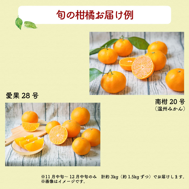 【ふるさと納税】 柑橘 おまかせ 詰合せ セット 3~5kg 家庭用 旬 季節の柑橘 フレッシュつちやま 先行予約 品種 お任せ 果物 くだもの フルーツ 柑橘 愛媛みかん みかん mikan 蜜柑 産地直送 数量限定 国産 愛媛 宇和島 B010-096011 サムネイル2