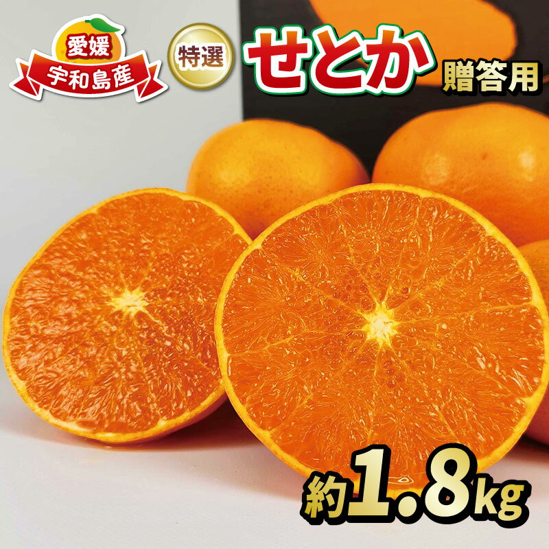 柑橘 ミカン せとか 1.8kg 柑橘の 大トロ 贈答用 特選 フレッシュつちやま 先行予約 高級柑橘 秀品 贈答品 ギフト プレゼント 高級 ブランド 希少 甘い 果物 フルーツ 柑橘 みかん 蜜柑 贈答 愛媛みかん 産地直送 数量限定 国産 愛媛 宇和島 B015-096026