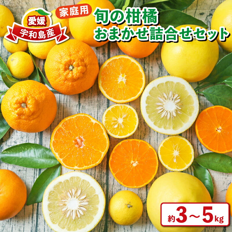 柑橘 おまかせ 詰合せ セット 3~5kg 家庭用 旬 季節の柑橘 フレッシュつちやま 先行予約 品種 お任せ 果物 くだもの フルーツ 柑橘 愛媛みかん みかん mikan 蜜柑 産地直送 数量限定 国産 愛媛 宇和島 B010-096011