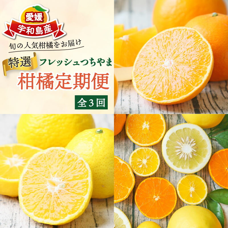 みかん定期便 特選 贈答用 旬 柑橘定期便 全3回 愛果28号 媛小春 おまかせ詰合せ フレッシュつちやま 愛媛みかん 愛媛蜜柑 愛媛ミカン みかん 愛媛産みかん 果物 くだもの フルーツ 柑橘 みかん 産地直送 数量限定 国産 愛媛 宇和島 B054-096023