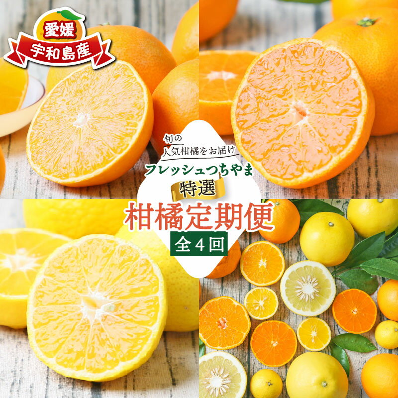 贈答用 秀品 柑橘定期便 全 4回 みかん定期便 先行予約 愛果28号 媛小春 おまかせ詰合せ 黄金柑 フレッシュつちやま 先行予約 蜜柑定期便 果物 くだもの フルーツ 柑橘 愛媛みかん みかん 蜜柑 ミカン 産地直送 数量限定 国産 愛媛 宇和島 B072-096025