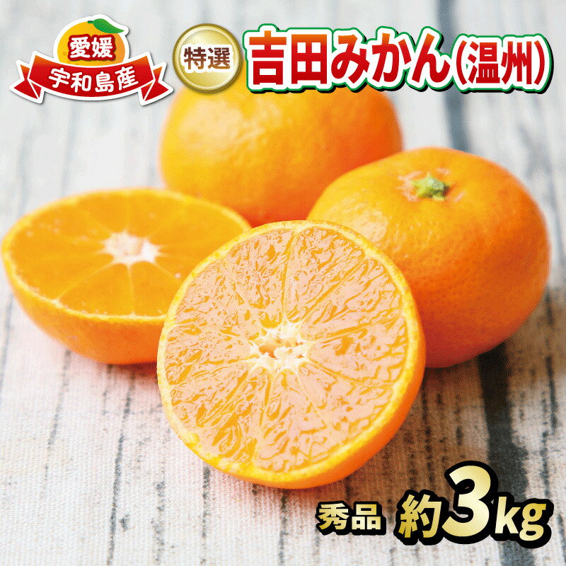 贈答 蜜柑 贈答用 秀品 3kg フレッシュつちやま 先行予約 特選 温州 みかん 温州みかん 贈答用みかん 早生 南柑20号 贈答品 高級 果物 くだもの フルーツ 柑橘 愛媛みかん お取り寄せ 愛媛蜜柑 愛媛ミカン 産地直送 数量限定 国産 愛媛 宇和島 B015-096004