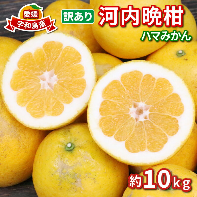 訳あり 河内晩柑 10kg 愛媛みかん ハマみかん 先行予約 晩柑 ばんかん かわちばんかん 和製 グレープフルーツ 果物 くだもの フルーツ 柑橘 かんきつ みかん 蜜柑 mikan 愛媛ミカン 愛媛蜜柑 産地直送 数量限定 国産 愛媛 宇和島 B010-075011