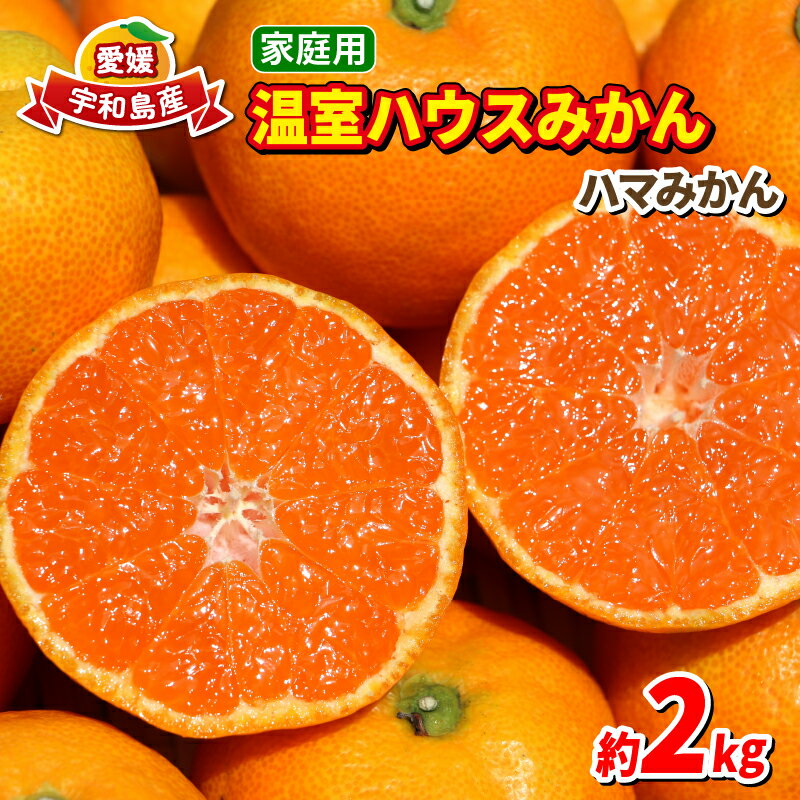 ハウスみかん 温室みかん 2kg 家庭用 ハマみかん 先行予約 温州みかん 温室蜜柑 ハウス栽培 興津 早生 ハウス みかん 果物 フルーツ 柑橘 蜜柑 愛媛ミカン 愛媛みかん 愛媛蜜柑 農家直送 産地直送 数量限定 国産 愛媛 宇和島 B015-075004
