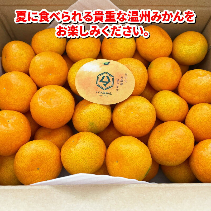 【ふるさと納税】 ハウスみかん 温室みかん 2kg 家庭用 ハマみかん 先行予約 温州みかん 温室蜜柑 ハウス栽培 興津 早生 ハウス みかん 果物 フルーツ 柑橘 蜜柑 愛媛ミカン 愛媛みかん 愛媛蜜柑 農家直送 産地直送 数量限定 国産 愛媛 宇和島 B015-075004 - 画像2