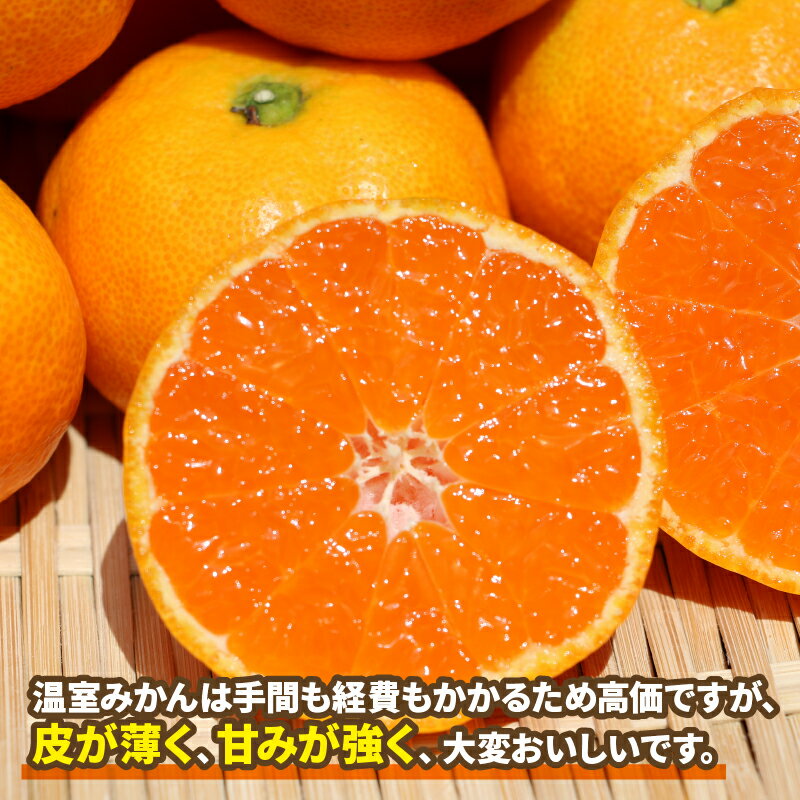 【ふるさと納税】 ハウスみかん 温室みかん 2kg 家庭用 ハマみかん 先行予約 温州みかん 温室蜜柑 ハウス栽培 興津 早生 ハウス みかん 果物 フルーツ 柑橘 蜜柑 愛媛ミカン 愛媛みかん 愛媛蜜柑 農家直送 産地直送 数量限定 国産 愛媛 宇和島 B015-075004 - 画像3