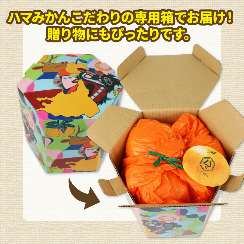 【ふるさと納税】 愛果28号 贈答用 2kg ハウス栽培 先行予約 ハマみかん 果物 くだもの フルーツ 柑橘 みかん 高級 ブランド ゼリー プルプル 甘い 限定 品種 蜜柑 mikan 愛媛蜜柑 愛媛みかん 農家直送 産地直送 数量限定 国産 愛媛 宇和島 B018-075005 サムネイル3