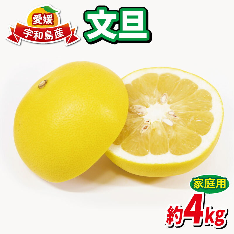 文旦 4kg 家庭用 先行予約 ハマみかん ミカン ぶんたん 果物 くだもの フルーツ 柑橘 かんきつ みかん 蜜柑 mikan 愛媛ミカン 愛媛蜜柑 愛媛みかん 農家直送 産地直送 数量限定 国産 愛媛 宇和島 B010-075003