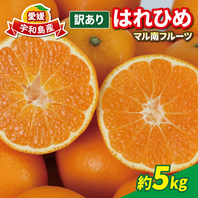 柑橘 訳ありみかん はれひめ 5kg 先行予約 マル南フルーツ 瀬戸の晴れ姫 晴れ姫 サイズ 不揃い 高級 希少 品種 わけあり 愛媛みかん 愛媛ミカン 愛媛蜜柑 mikan 果物 くだもの フルーツ みかん 蜜柑 産地直送 数量限定 国産 愛媛 宇和島 B012-106002
