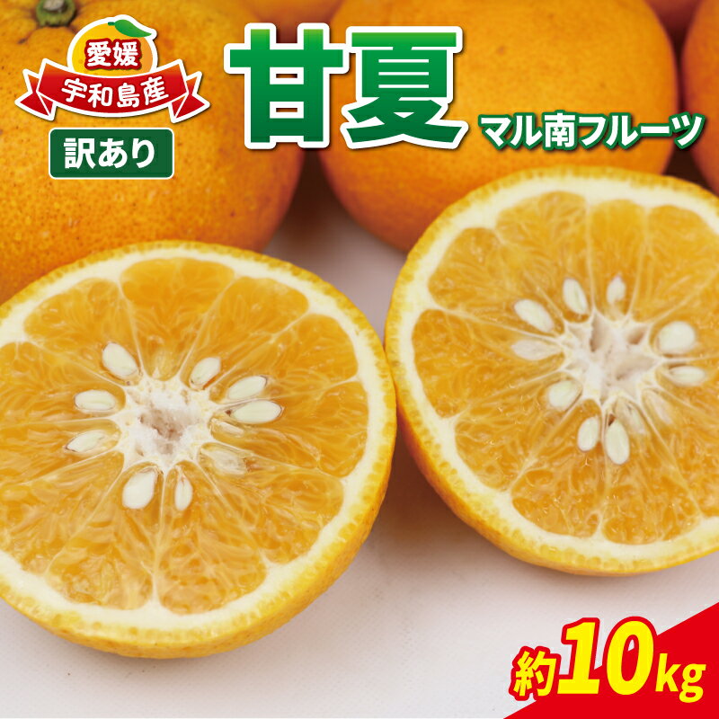 愛媛みかん 訳あり 甘夏 10kg マル南フルーツ 先行予約 わけあり 夏みかん 甘夏柑 マーマレード あまなつ 愛媛ミカン 愛媛蜜柑 訳ありみかん 訳あり蜜柑 mikan 果物 くだもの フルーツ 柑橘 みかん 蜜柑 数量限定 産地直送 国産 愛媛 宇和島 B012-106026