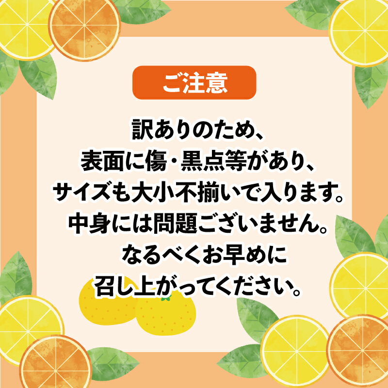 【ふるさと納税】 愛媛みかん 訳あり 甘夏 10kg マル南フルーツ 先行予約 わけあり 夏みかん 甘夏柑 マーマレード あまなつ 愛媛ミカン 愛媛蜜柑 訳ありみかん 訳あり蜜柑 mikan 果物 くだもの フルーツ 柑橘 みかん 蜜柑 数量限定 産地直送 国産 愛媛 宇和島 B012-106026 サムネイル2
