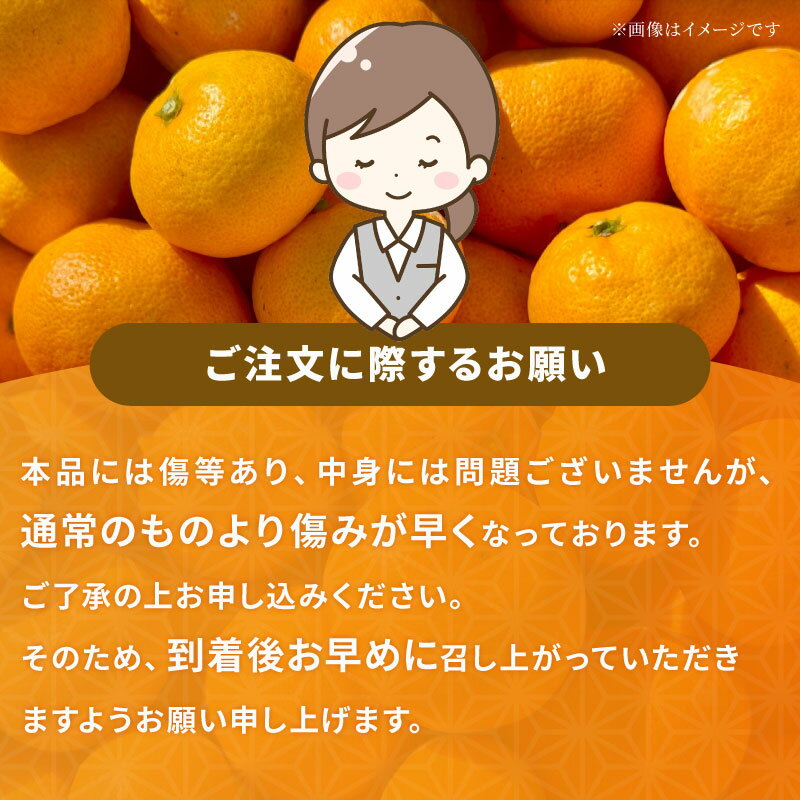 【ふるさと納税】 訳アリ 蜜柑 愛果28号 訳あり 5kg マル南フルーツ 不揃い 先行予約 柑橘 みかん ミカン 愛媛みかん 愛媛ミカン 愛媛蜜柑 果物 くだもの わけあり フルーツ 高級 品種 ゼリー プルプル 甘い 産地直送 農家直送 数量限定 国産 愛媛 限定 宇和島 B015-106027 - 画像3