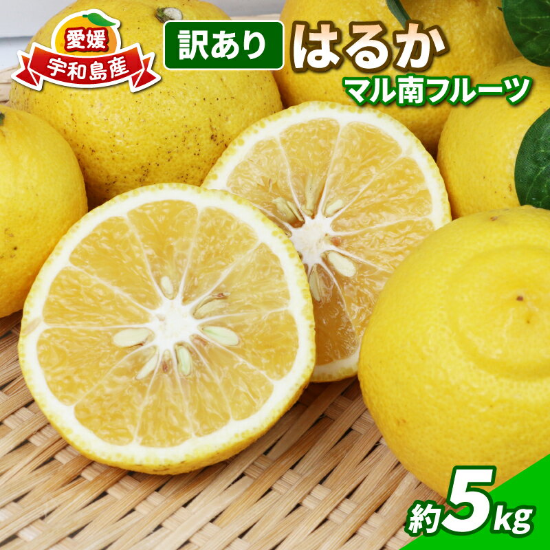 訳あり はるか みかん 5kg 不揃い マル南フルーツ はるかみかん 先行予約 果物 くだもの フルーツ 甘い 爽やか 美味しい 柑橘 蜜柑 mikan 愛媛ミカン 愛媛蜜柑 愛媛みかん 訳アリ 訳あり品 訳有り わけあり 数量限定 産地直送 国産 愛媛 宇和島 B012-106003