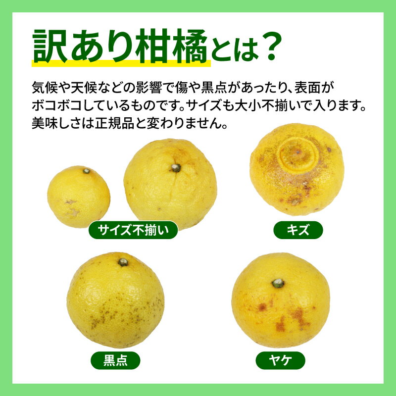 【ふるさと納税】 訳あり はるか みかん 5kg 不揃い マル南フルーツ はるかみかん 先行予約 果物 くだもの フルーツ 甘い 爽やか 美味しい 柑橘 蜜柑 mikan 愛媛ミカン 愛媛蜜柑 愛媛みかん 訳アリ 訳あり品 訳有り わけあり 数量限定 産地直送 国産 愛媛 宇和島 B012-106003 サムネイル2