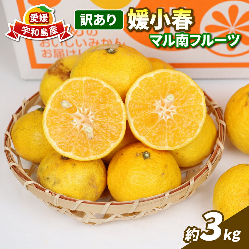 訳あり 媛小春 3kg 先行予約 希少 高級 愛媛県 限定 品種 マル南フルーツ サイズ 不揃い わけあり 愛媛みかん 愛媛ミカン 愛媛蜜柑 mikan 高級柑橘 訳ありみかん 果物 くだもの フルーツ 柑橘 みかん 産地直送 数量限定 国産 愛媛 宇和島 B012-106005