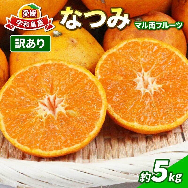 訳あり なつみ みかん 5kg 初夏のみかん マル南フルーツ 先行予約 サイズ 不揃い みかん 蜜柑 南津海 果物 くだもの 訳アリ 訳あり品 訳有り わけあり 愛媛みかん フルーツ 旬 高級 ブランド 希少 柑橘 産地直送 数量限定 国産 愛媛 宇和島 B010-106012