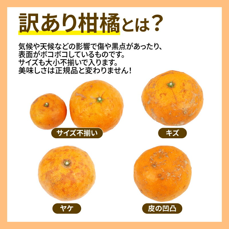 【ふるさと納税】 訳あり なつみ みかん 5kg 初夏のみかん マル南フルーツ 先行予約 サイズ 不揃い みかん 蜜柑 南津海 果物 くだもの 訳アリ 訳あり品 訳有り わけあり 愛媛みかん フルーツ 旬 高級 ブランド 希少 柑橘 産地直送 数量限定 国産 愛媛 宇和島 B010-106012 サムネイル2