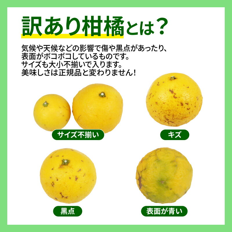 【ふるさと納税】 訳あり 日向夏 みかん 5kg マル南フルーツ 先行予約 不揃い サイズ混合 わけあり 果物 くだもの フルーツ 柑橘 みかん 訳アリ 訳あり品 訳有り わけあり 愛媛みかん 愛媛ミカン 愛媛県産 愛媛蜜柑 蜜柑 数量限定 産地直送 国産 愛媛 宇和島 B010-106013 サムネイル2
