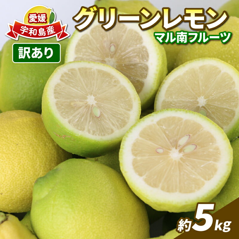 国産レモン 檸檬 レモン 訳あり グリーンレモン 5kg マル南フルーツ remon 愛媛県産レモン 先行予約 わけあり れもん 檸檬 レモン果汁 酸味 高級 希少 安心 果物 くだもの ビタミン 健康 フルーツ 柑橘 産地直送 数量限定 国産 愛媛 宇和島 B010-106016