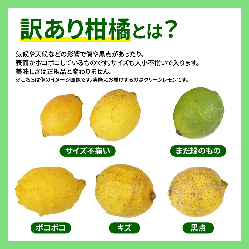 【ふるさと納税】 国産レモン 檸檬 レモン 訳あり グリーンレモン 5kg マル南フルーツ remon 愛媛県産レモン 先行予約 わけあり れもん 檸檬 レモン果汁 酸味 高級 希少 安心 果物 くだもの ビタミン 健康 フルーツ 柑橘 産地直送 数量限定 国産 愛媛 宇和島 B010-106016 サムネイル2