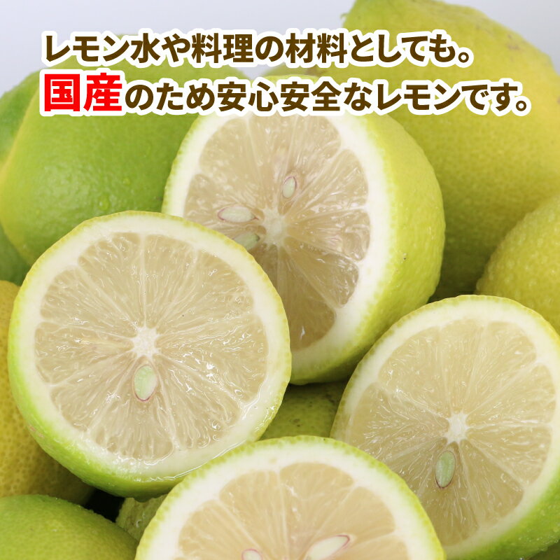 【ふるさと納税】 国産レモン 檸檬 レモン 訳あり グリーンレモン 5kg マル南フルーツ remon 愛媛県産レモン 先行予約 わけあり れもん 檸檬 レモン果汁 酸味 高級 希少 安心 果物 くだもの ビタミン 健康 フルーツ 柑橘 産地直送 数量限定 国産 愛媛 宇和島 B010-106016 サムネイル3