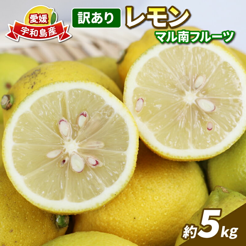 訳あり 檸檬 5kg マル南フルーツ 先行予約 不揃い わけあり レモン れもん レモン果汁 酸味 高級 果物 くだもの ビタミン 健康 ダイエット フルーツ 柑橘 みかん 訳アリ 訳あり品 訳有り 蜜柑 産地直送 数量限定 国産 愛媛 宇和島 B010-106020