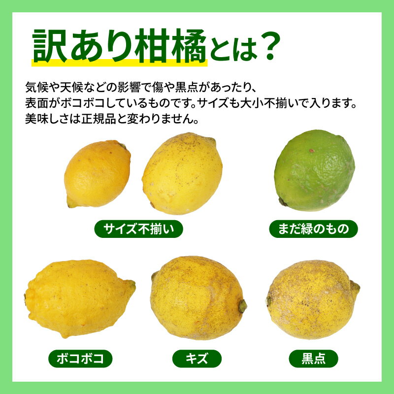 【ふるさと納税】 訳あり 檸檬 5kg マル南フルーツ 先行予約 不揃い わけあり レモン れもん レモン果汁 酸味 高級 果物 くだもの ビタミン 健康 ダイエット フルーツ 柑橘 みかん 訳アリ 訳あり品 訳有り 蜜柑 産地直送 数量限定 国産 愛媛 宇和島 B010-106020 サムネイル2