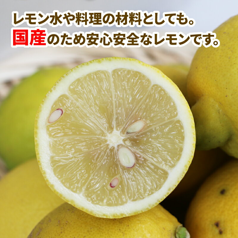 【ふるさと納税】 訳あり 檸檬 5kg マル南フルーツ 先行予約 不揃い わけあり レモン れもん レモン果汁 酸味 高級 果物 くだもの ビタミン 健康 ダイエット フルーツ 柑橘 みかん 訳アリ 訳あり品 訳有り 蜜柑 産地直送 数量限定 国産 愛媛 宇和島 B010-106020 サムネイル3