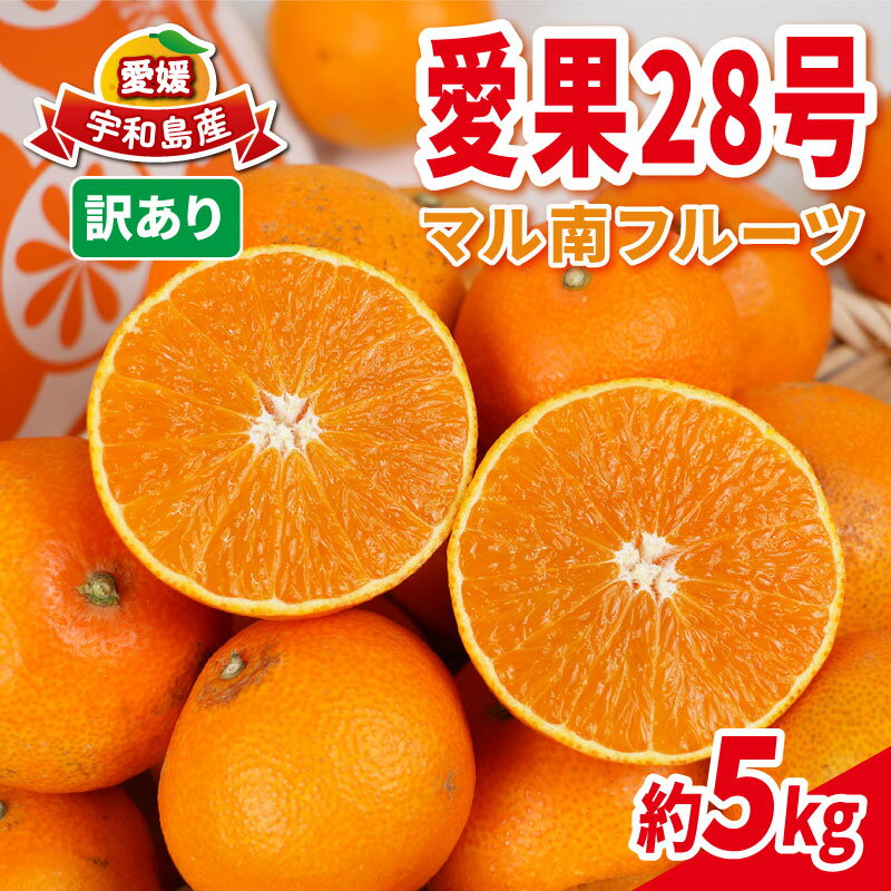 訳アリ 蜜柑 愛果28号 訳あり 5kg マル南フルーツ 不揃い 先行予約 柑橘 みかん ミカン 愛媛みかん 愛媛ミカン 愛媛蜜柑 果物 くだもの わけあり フルーツ 高級 品種 ゼリー プルプル 甘い 産地直送 農家直送 数量限定 国産 愛媛 限定 宇和島 B015-106027