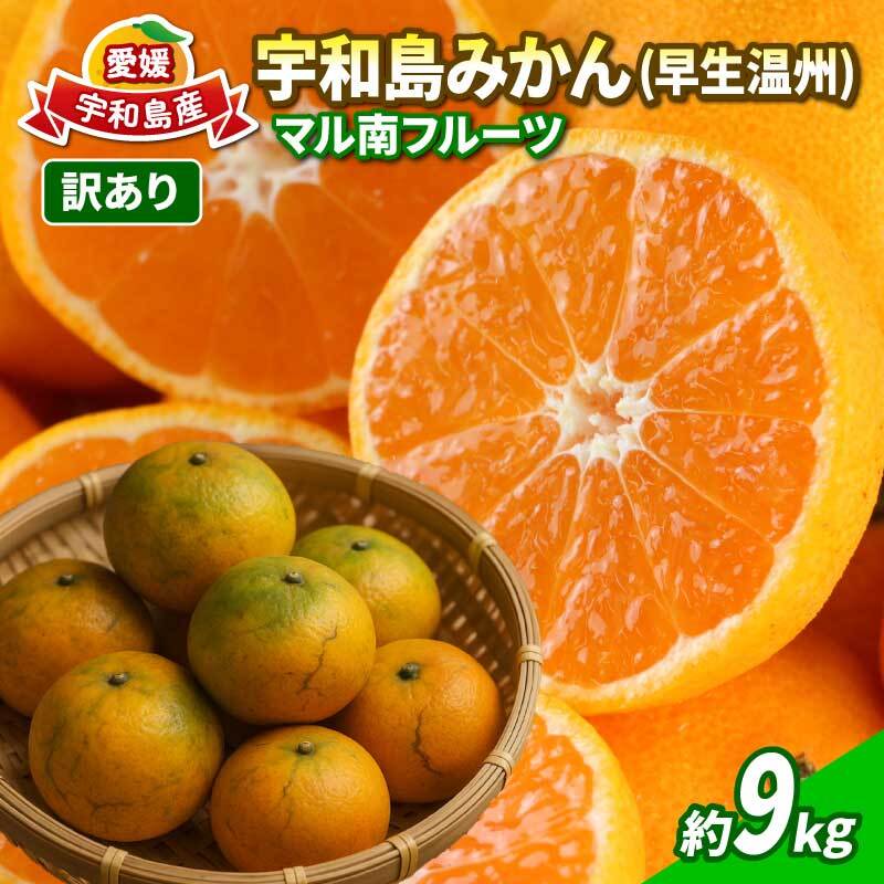 温州ミカン 訳あり みかん 早生温州 9kg マル南フルーツ 温州みかん 早生 温州 サイズ不揃い 果物 くだもの フルーツ 柑橘 蜜柑 うんしゅうみかん わけあり 訳アリ 甘い 美味しい 国産 愛媛 宇和島 B010-106017