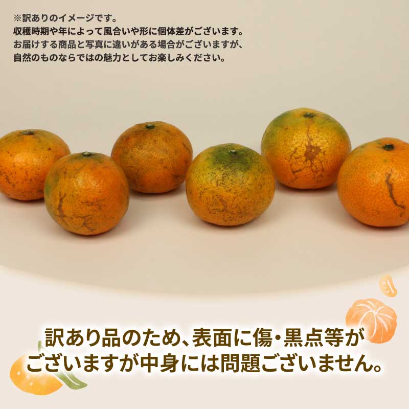 【ふるさと納税】 蜜柑 わけあり みかん 南柑20号 9kg マル南フルーツ 先行予約 訳あり 訳アリ 訳あり品 温州 温州みかん うんしゅう ミカン 温州蜜柑 愛媛みかん 愛媛ミカン mikan 果物 くだもの フルーツ 柑橘 南柑 20号 産地直送 数量限定 国産 愛媛 宇和島 B010-106018 サムネイル2