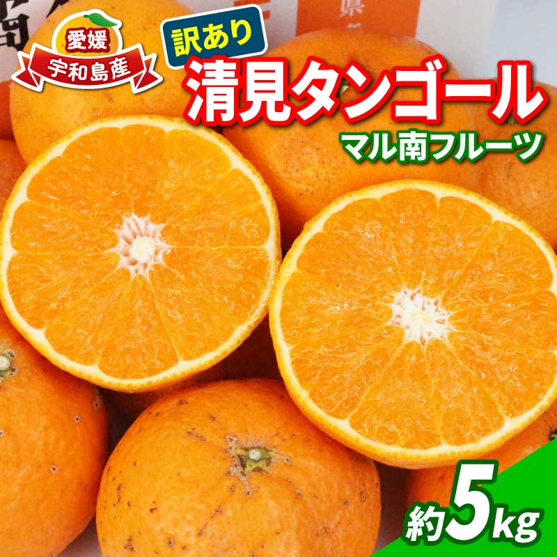 訳あり ミカン 清見タンゴール 5kg マル南フルーツ 先行予約 わけあり タンゴール オレンジ きよみ 清見オレンジ 清見みかん 清見 愛媛ミカン 愛媛蜜柑 蜜柑 みかん mikan 訳アリ 果物 くだもの フルーツ 柑橘 数量限定 国産 愛媛 宇和島 B010-106024