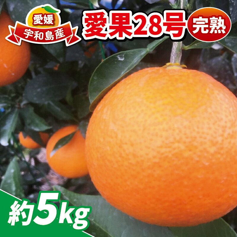 愛果28号 5kg 完熟みかん 先行予約 家庭用 南予ファーム 高級 ブランド 愛媛県産 限定 品種 完熟蜜柑 愛媛みかん 愛媛蜜柑 愛媛ミカン みかん mikan 甘い ゼリー 果物 くだもの フルーツ 柑橘 農家直送 産地直送 数量限定 国産 愛媛 宇和島 B025-082001