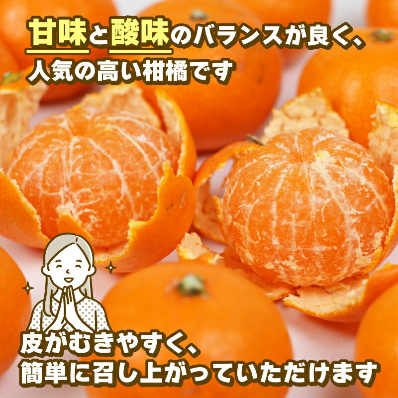 【ふるさと納税】 みかん 訳あり 10kg 小玉 早生 温州みかん 玉津柑橘倶楽部 先行予約 早生温州 温州 蜜柑 早生みかん 小玉みかん 甘い 糖度 果物 くだもの フルーツ 柑橘 mikan 蜜柑 愛媛みかん わけあり サイズ 不揃い 産地直送 数量限定 国産 愛媛 宇和島B010-072030 - 画像3