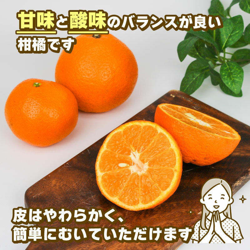 【ふるさと納税】 ミカン 訳あり いよかん 8kg 玉津柑橘倶楽部 先行予約 伊予柑 甘い ジューシー プリプリ おいしい 果物 くだもの フルーツ 柑橘 みかん mikan 蜜柑 愛媛蜜柑 愛媛みかん 愛媛ミカン わけあり サイズ 不揃い 産地直送 数量限定 国産 愛媛 宇和島 B010-072032 サムネイル3
