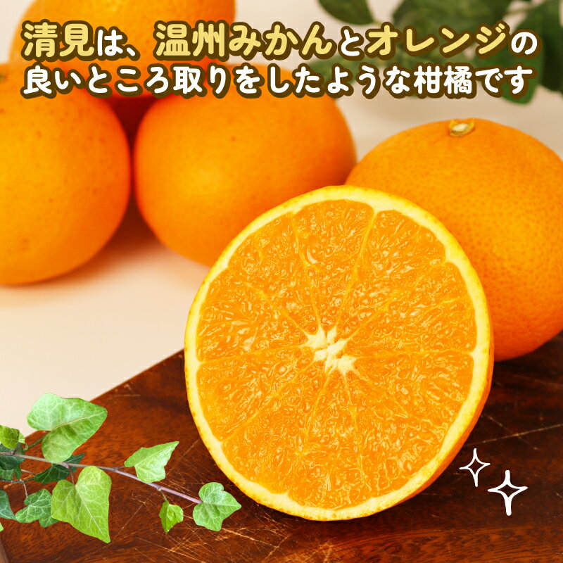 【ふるさと納税】 訳アリみかん 訳あり 清見 きよみ 8kg 玉津柑橘倶楽部 先行予約 みかん タンゴール 清見タンゴール 清見オレンジ 甘い 果物 くだもの フルーツ 柑橘 mikan 蜜柑 愛媛蜜柑 愛媛みかん 愛媛ミカン ミカン わけあり 数量限定 国産 愛媛 宇和島 B010-072033 サムネイル3