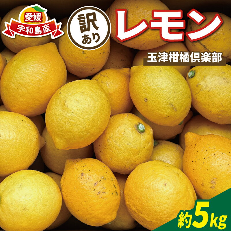 訳あり レモン 約5kg 玉津柑橘倶楽部 先行予約 サイズ 不揃い 訳アリ れもん 檸檬 remon 爽やか 果実 サワー ジュース チューハイ 果物 くだもの フルーツ 柑橘 愛媛蜜柑 愛媛みかん わけあり 訳あり品 産地直送 数量限定 国産 愛媛 宇和島 B010-072045