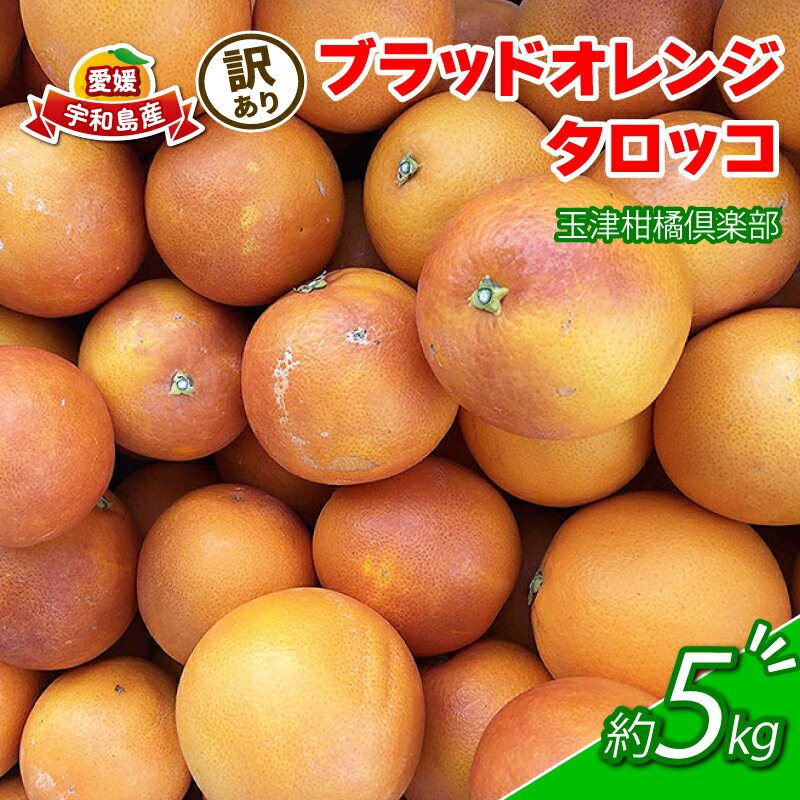 訳あり ブラッドオレンジ タロッコ 約5kg 玉津柑橘倶楽部 先行予約 サイズ 不揃い オレンジ 果実 果物 くだもの フルーツ 柑橘 愛媛蜜柑 愛媛みかん mikan 訳アリ わけあり 訳あり品 産地直送 数量限定 国産 愛媛 宇和島 B010-072047