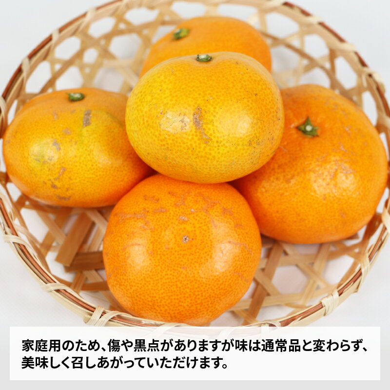 【ふるさと納税】 みかん 温州ミカン 早生みかん 温州みかん 早生温州 9kg 家庭用 玉津柑橘倶楽部 早生 うんしゅう 愛媛みかん 愛媛蜜柑 愛媛ミカン 玉津 mikan 予約受付 果物 フルーツ 柑橘 濃厚 甘い 甘味 蜜柑 産地直送 農家直送 数量限定 国産 愛媛 宇和島 B010-072001 サムネイル2