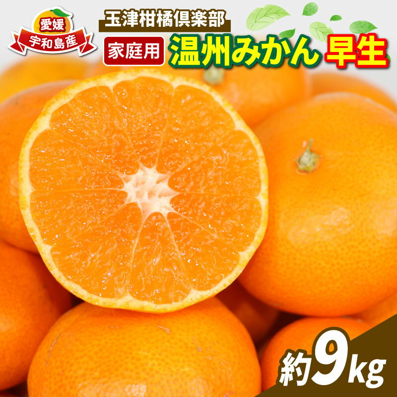 みかん 温州ミカン 早生みかん 温州みかん 早生温州 9kg 家庭用 玉津柑橘倶楽部 早生 うんしゅう 愛媛みかん 愛媛蜜柑 愛媛ミカン 玉津 mikan 予約受付 果物 フルーツ 柑橘 濃厚 甘い 甘味 蜜柑 産地直送 農家直送 数量限定 国産 愛媛 宇和島 B010-072001