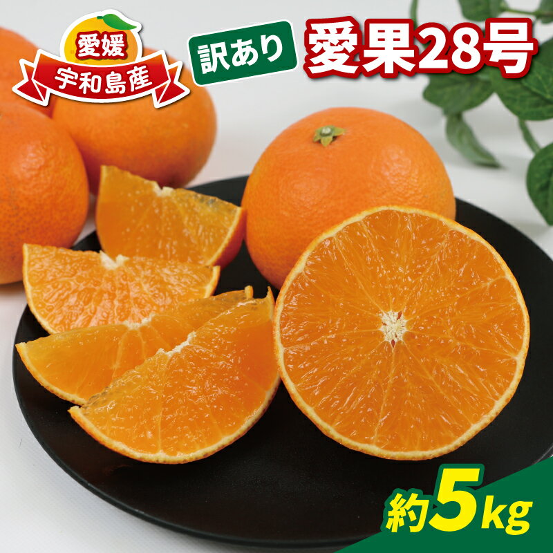 【12月上旬〜12月中旬発送予定】 訳あり 愛果28号 5kg 家庭用 玉津柑橘倶楽部 愛媛みかん 愛媛蜜柑 愛媛ミカン 高級 ブランド 限定 品種 プルプル 甘い 玉津 みかん mikan 果物 フルーツ 柑橘 濃厚 甘味 産地直送 数量限定 国産 愛媛 宇和島 B015-072026