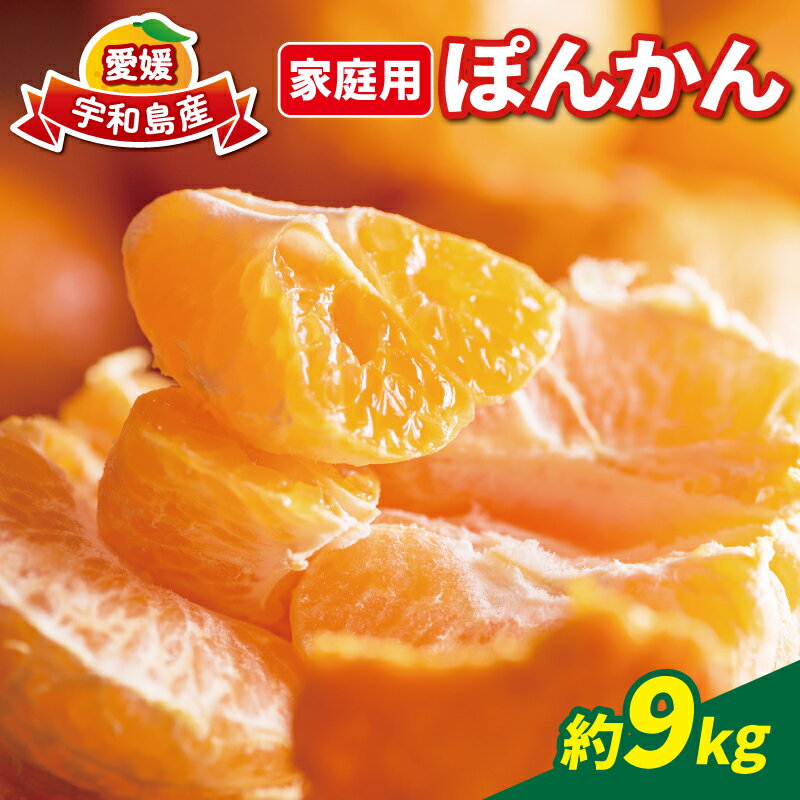 柑橘 ぽんかん 家庭用 9kg 玉津柑橘倶楽部 ポンカン 愛媛みかん 愛媛蜜柑 愛媛ミカン 玉津 蜜柑 みかん ミカン mikan 予約受付 果物 くだもの フルーツ ふるーつ 柑橘 濃厚 甘い あまい 甘味 産地直送 農家直送 数量限定 国産 愛媛 宇和島 B010-072003