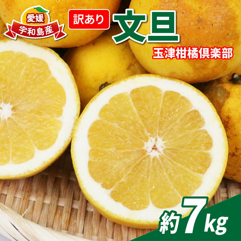 訳あり 文旦 約7kg 玉津柑橘倶楽部 先行予約 サイズ 不揃い ザボン ぶんたん ボンタン 果実 果物 くだもの フルーツ 柑橘 愛媛蜜柑 愛媛みかん 訳アリ わけあり 訳あり品 産地直送 数量限定 国産 愛媛 宇和島 B010-072046