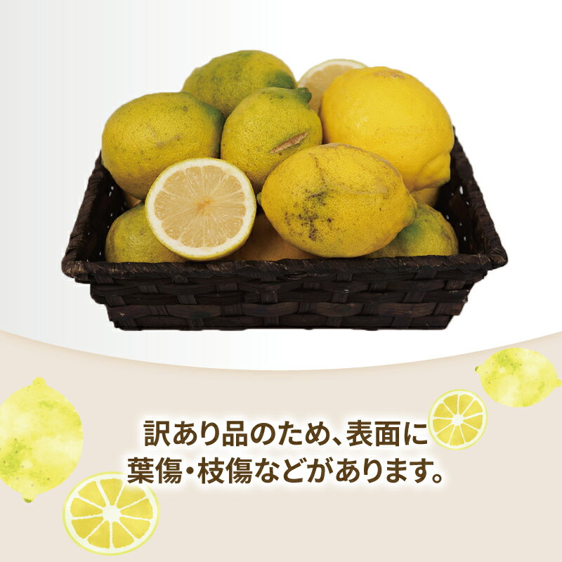 【ふるさと納税】 訳あり レモン 約5kg 玉津柑橘倶楽部 先行予約 サイズ 不揃い 訳アリ れもん 檸檬 remon 爽やか 果実 サワー ジュース チューハイ 果物 くだもの フルーツ 柑橘 愛媛蜜柑 愛媛みかん わけあり 訳あり品 産地直送 数量限定 国産 愛媛 宇和島 B010-072045 サムネイル2