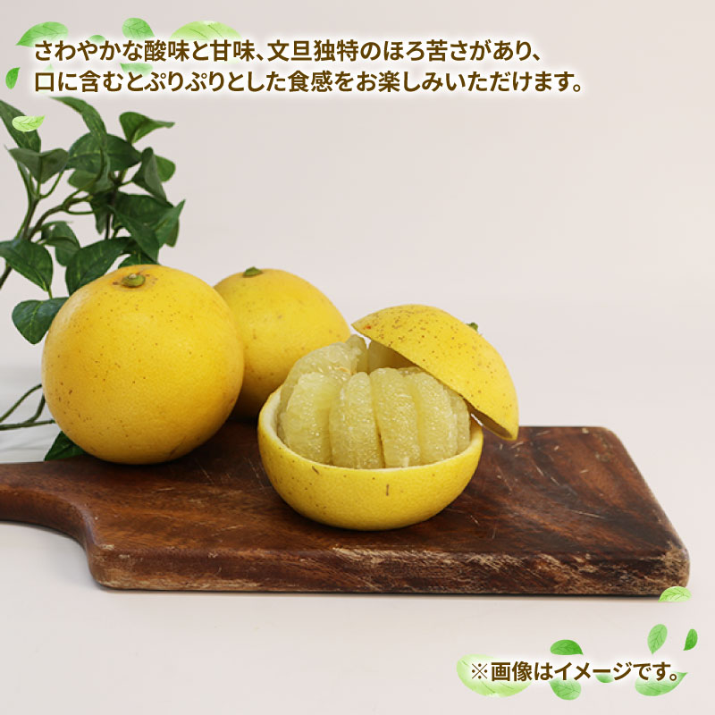 【ふるさと納税】 訳あり 文旦 約7kg 玉津柑橘倶楽部 先行予約 サイズ 不揃い ザボン ぶんたん ボンタン 果実 果物 くだもの フルーツ 柑橘 愛媛蜜柑 愛媛みかん 訳アリ わけあり 訳あり品 産地直送 数量限定 国産 愛媛 宇和島 B010-072046 サムネイル3